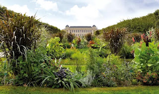 Viện Bảo tàng Thiên nhiên Quốc gia Pháp, Paris nơi GS Phạm Hoàng Hộ đơn độc làm việc ròng rã suốt sáu năm để hoàn tất bộ sách Cây Cỏ Việt Nam Viện Bảo tàng Thiên nhiên Quốc gia Pháp, Paris nơi GS Phạm Hoàng Hộ đơn độc làm việc ròng rã suốt sáu năm để hoàn tất bộ sách Cây Cỏ Việt Nam