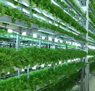 view of hydroponics