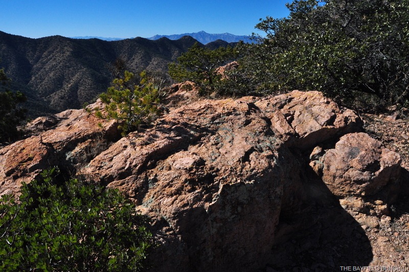 [DSC_0027%255B9%255D.jpg]