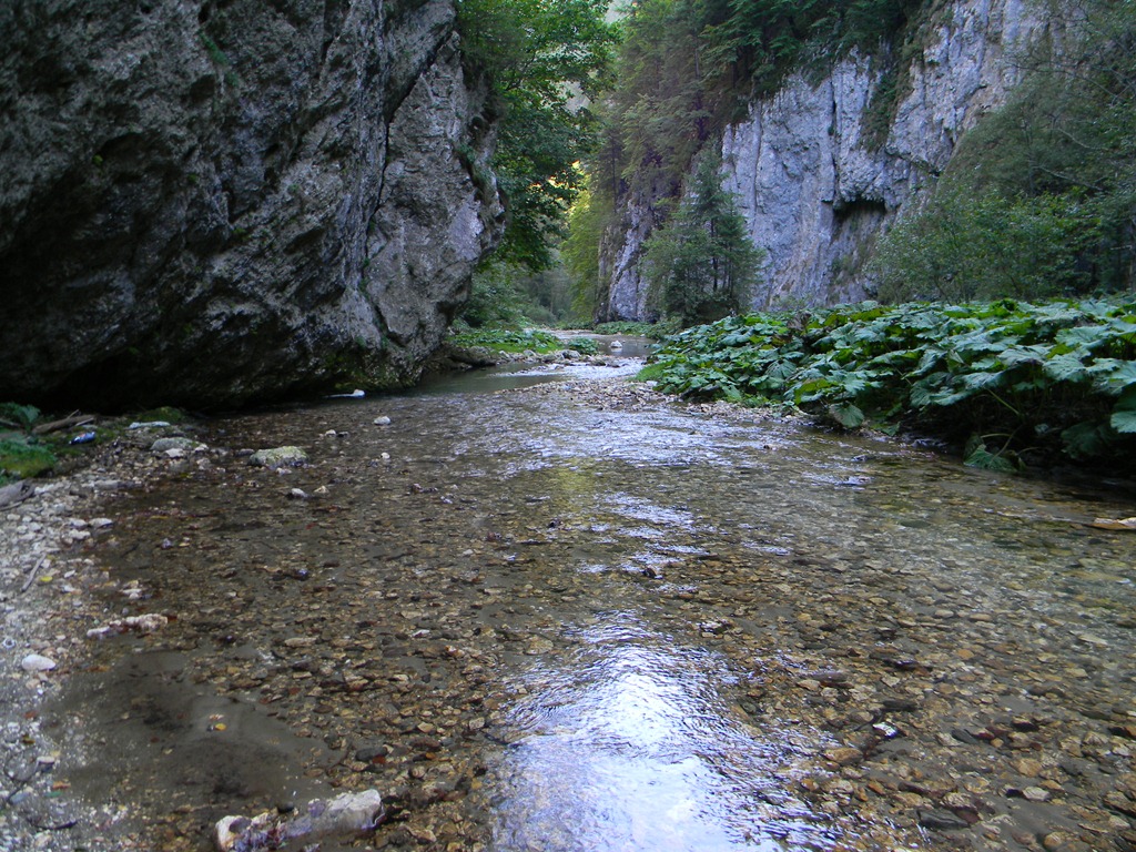 [DSCN54073.jpg]