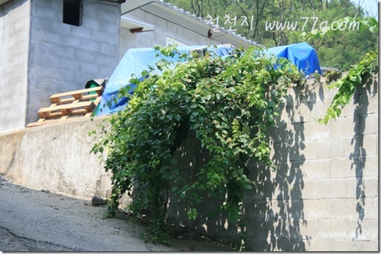 철천지20110902-124228-IMG_3476