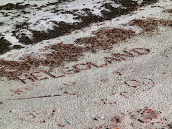 2013-09-10 MSC Magnifica - 066