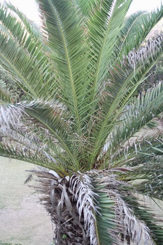 20100301 (15) (Large)