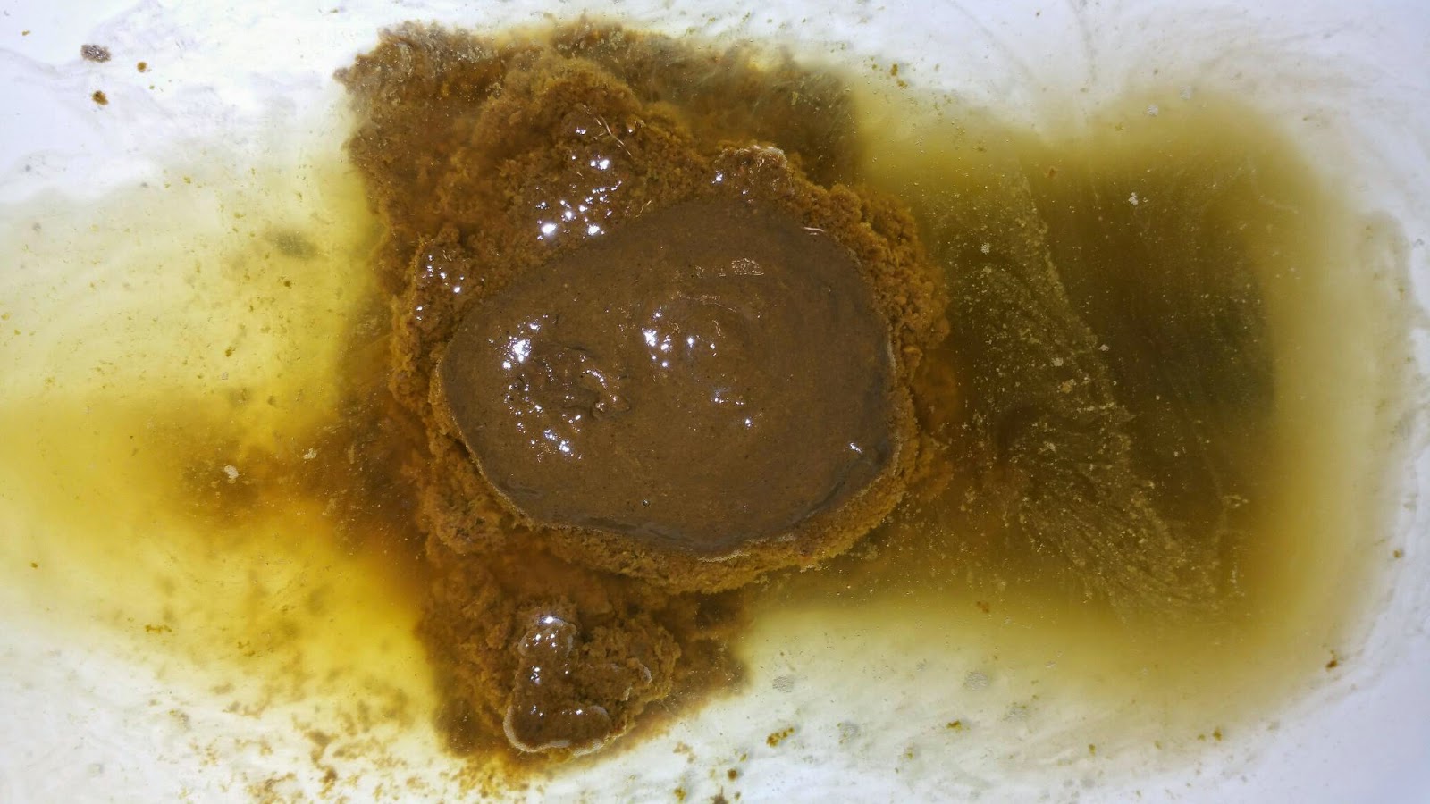 My Daily Poo 7 Jan Wednesday, big steaming ploop.