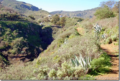 4528 Barranco de Antona 4528 Barranco de Antona