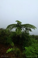IMG_4531 IMG_4531