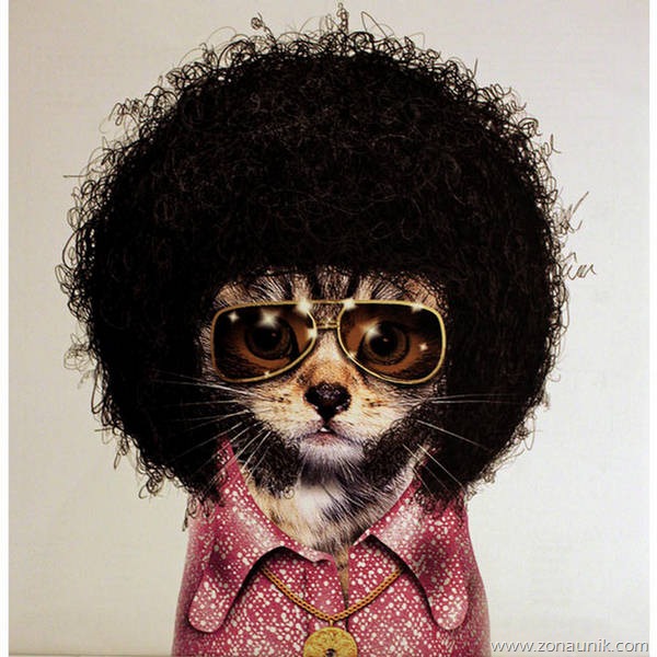 [binatang_rockstar12%255B2%255D.jpg]