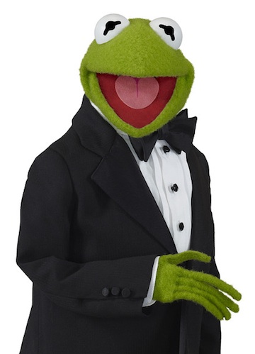 Frog in a tuxedo