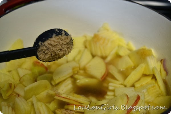 Homemade-Applesauce-Recipe (12)