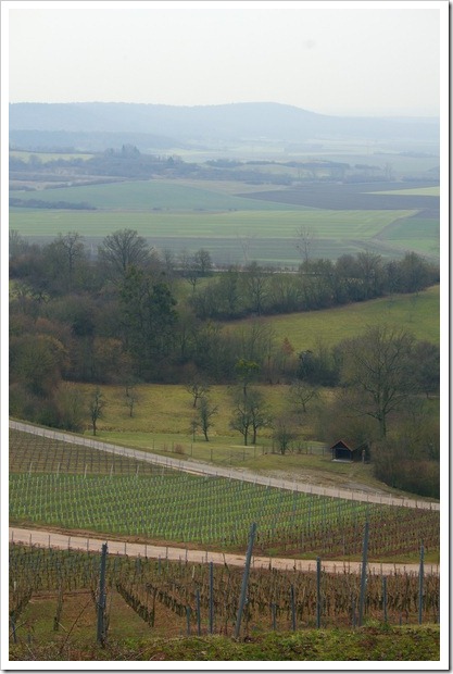 Weinberge Hoheneck Ipsheim Blick von der Lage Burg Hoheneck über Ipsheim