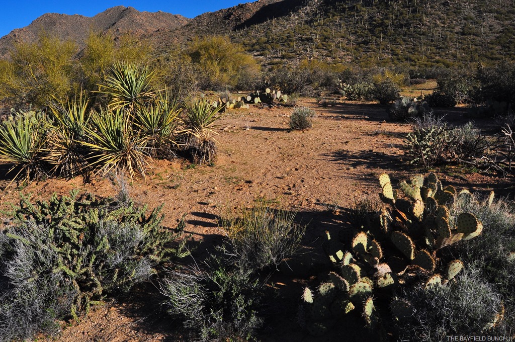 [DSC_0021%255B4%255D.jpg]