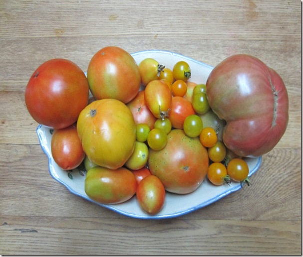 Tomato assortment