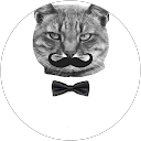 Image Google de laura Quinones