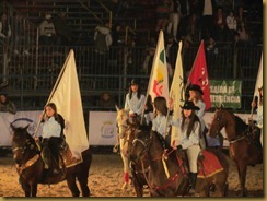 cajuru-rodeio-show2012 (8)