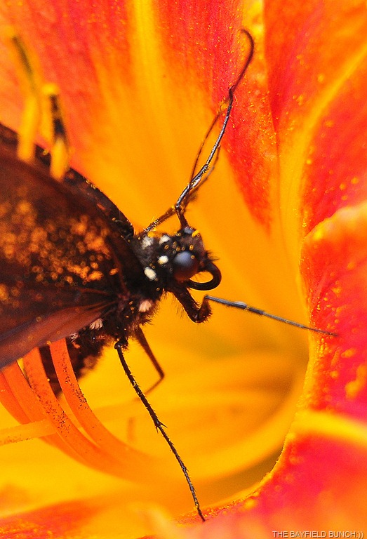 [DSC_0016%255B4%255D.jpg]