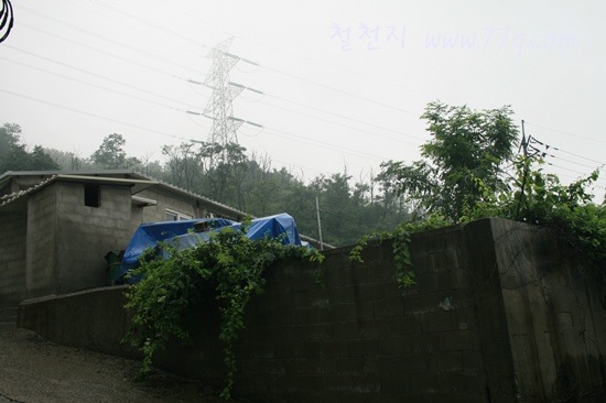 [IMG_1684-20110714-1716003.jpg]