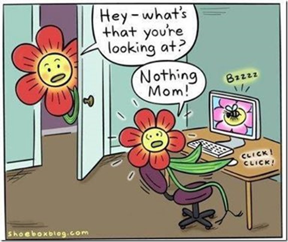 Flower po-n