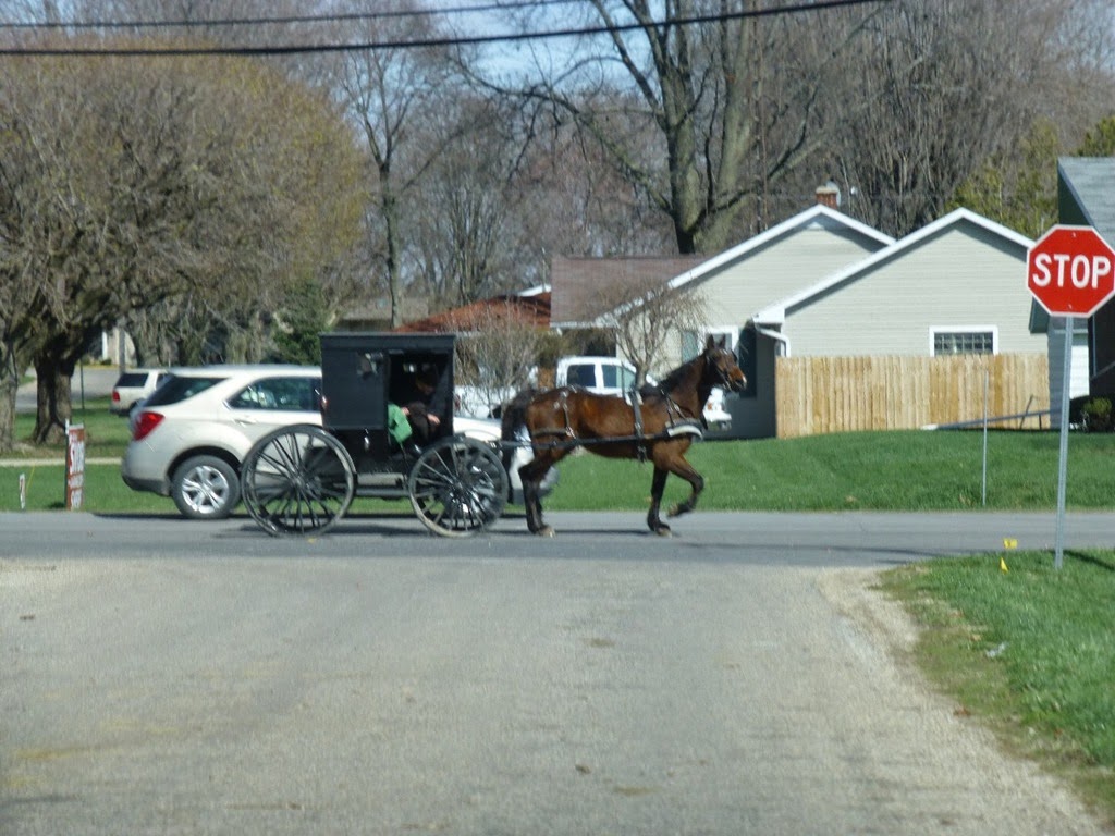 [Amish-Buggy-42.jpg]