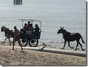 IMG_6454 IMG_6454