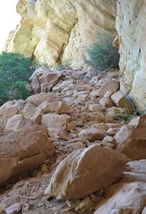 Prehistoric Steps