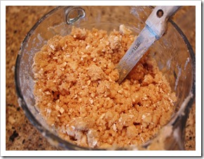 crumb crust mixture (800x533)