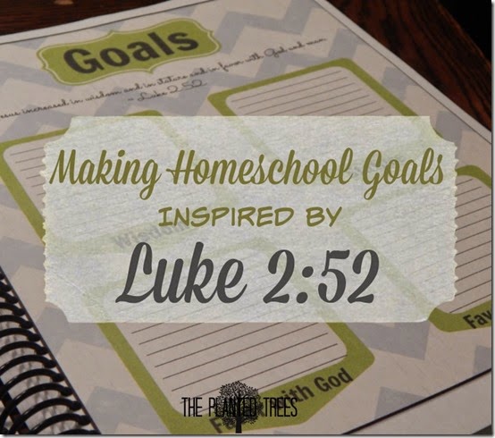 Homeschool Goals Sheet