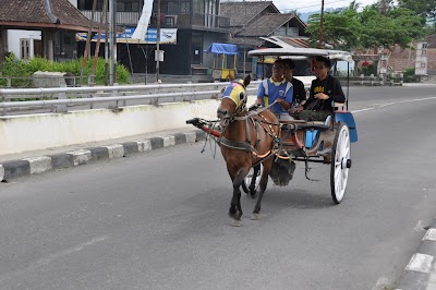 DSC_0833.JPG