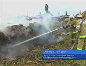 Сгорело 10 тонн сена