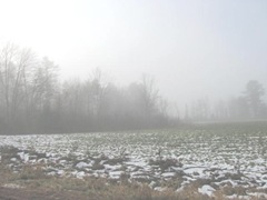 11.2011 Maine Otisfield foggy morning