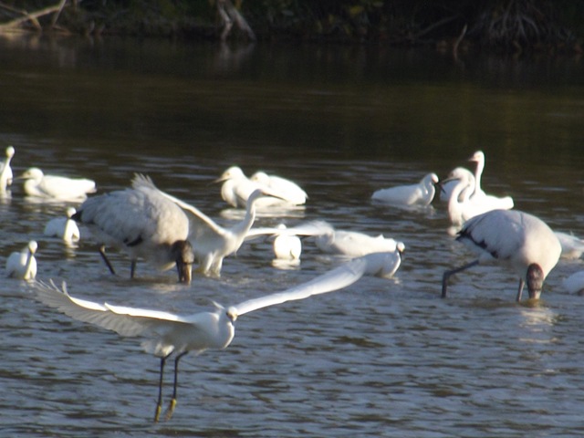 [EcoPond063.jpg]