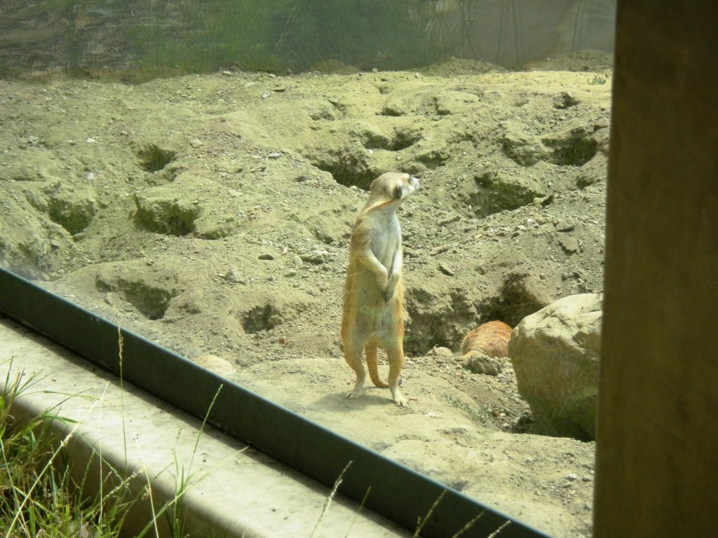 [DSCN5547%2520-%2520Kopie%255B4%255D.jpg]