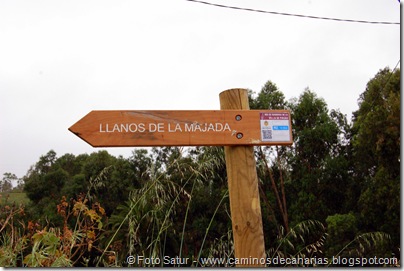 5042 Circular a Firgas-R2 5042 Circular a Firgas-R2