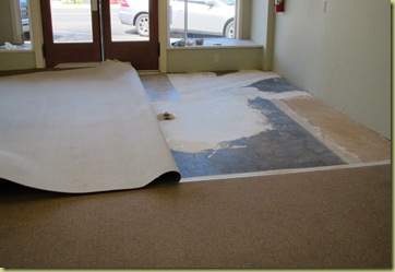 Bird Brain Designs Carpet Is Being Put Down Yay A Long Wall Of Shelves Are Going To Be Built Hold Our Wool And Other Fabric Bolts Plus Goos Too It Is Look Super