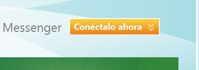 Facebook en el msn