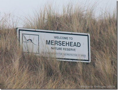 4-Mersehead-sign