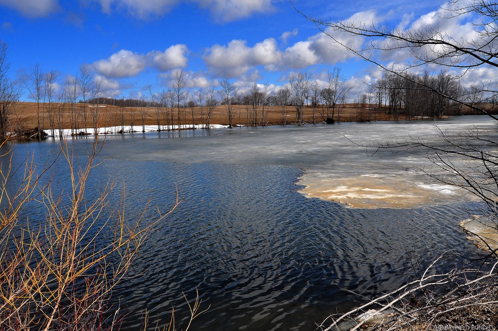 [DSC_0001%255B9%255D.jpg]