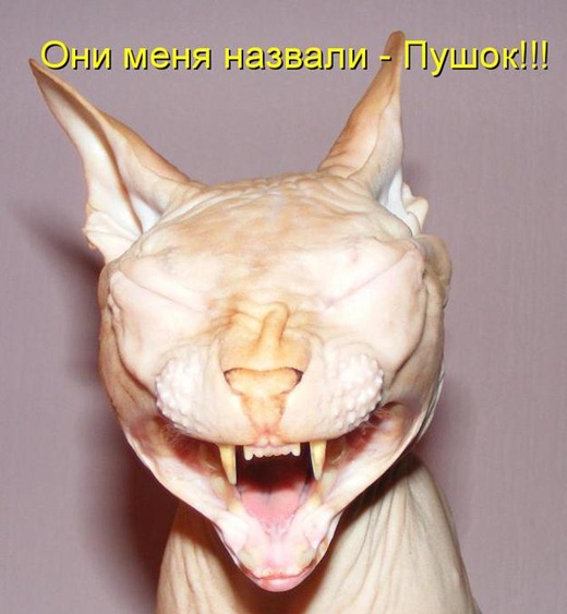 [77701941_4267534_548173%255B3%255D.jpg]