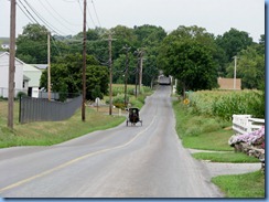 1684 Pennsylvania - Amish buggy