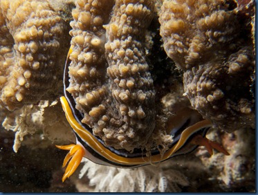 IMG_3033 IMG_3033