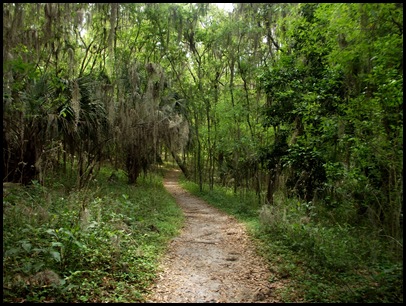 Bolen Bluff Trail-Spring Equinox 034