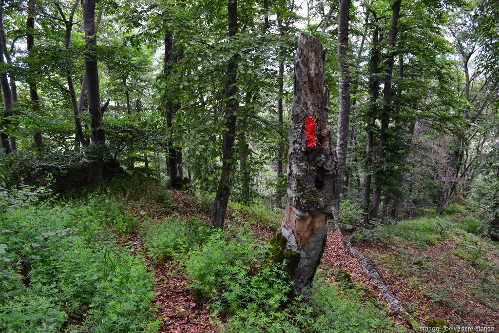 [DSC_323519.jpg]