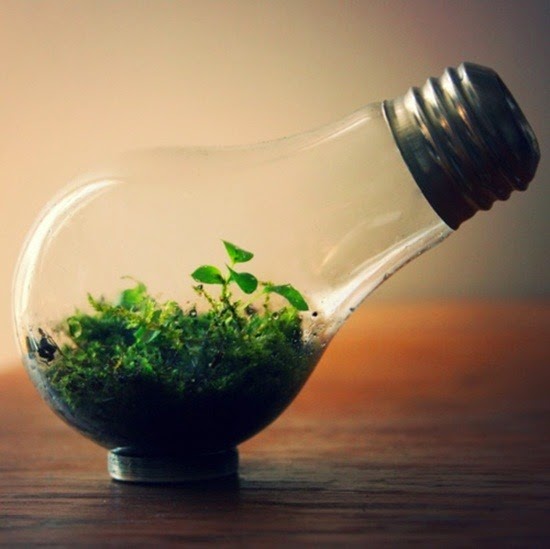 [clip_image0123.jpg]