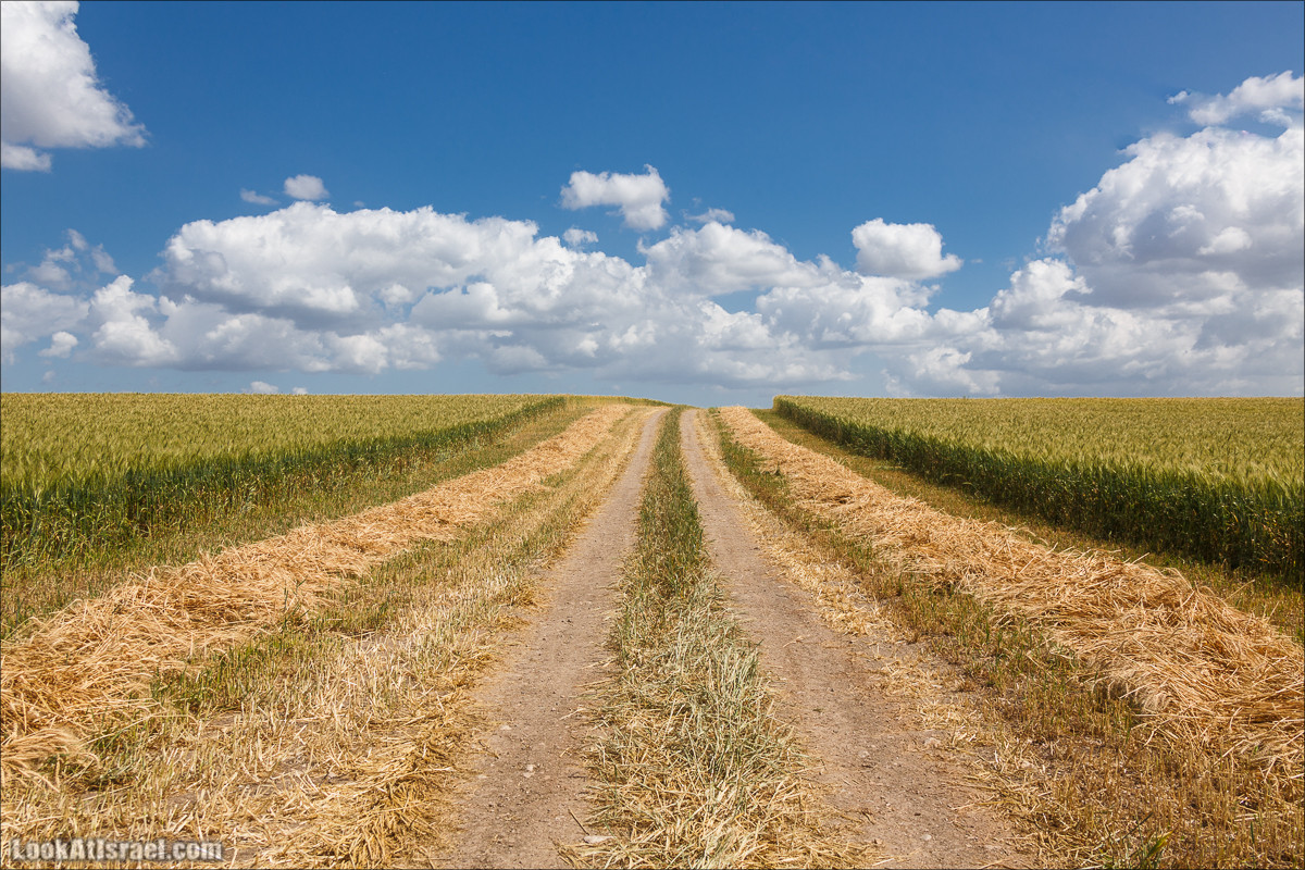 Песах в Долине Родников | Passover in Springs Valley| פסח בעמק המעיינות | LookAtIsrael.com - Фото путешествия по Израилю