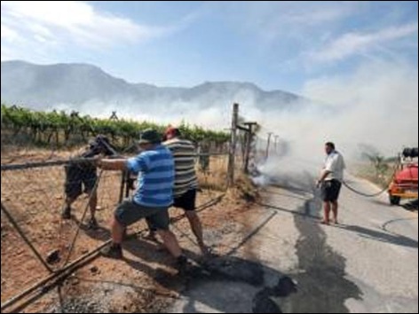 HEXRIVER FARMERS TRY TO SAVE THEIR VINEYARDS FROM TORCHING NOV92012