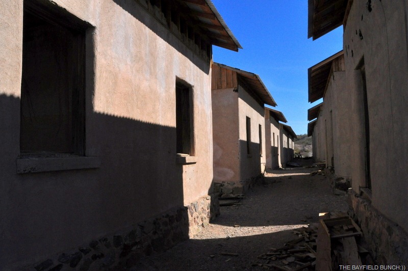 [DSC_0038%255B4%255D.jpg]