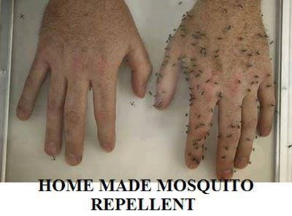 Home Made Mosquito Repellent