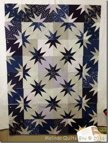 0314 Amicacola Mystery Quilt