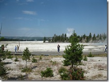 IMG_7114 IMG_7114
