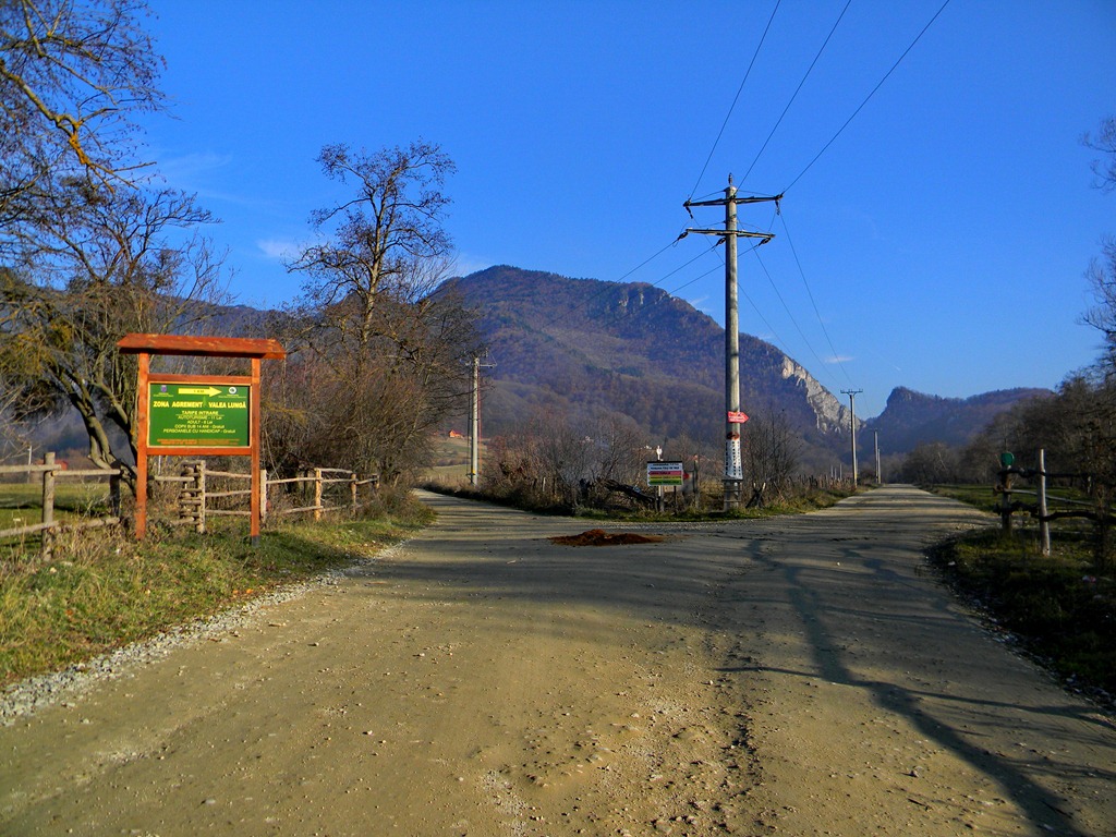 [DSCN14113.jpg]