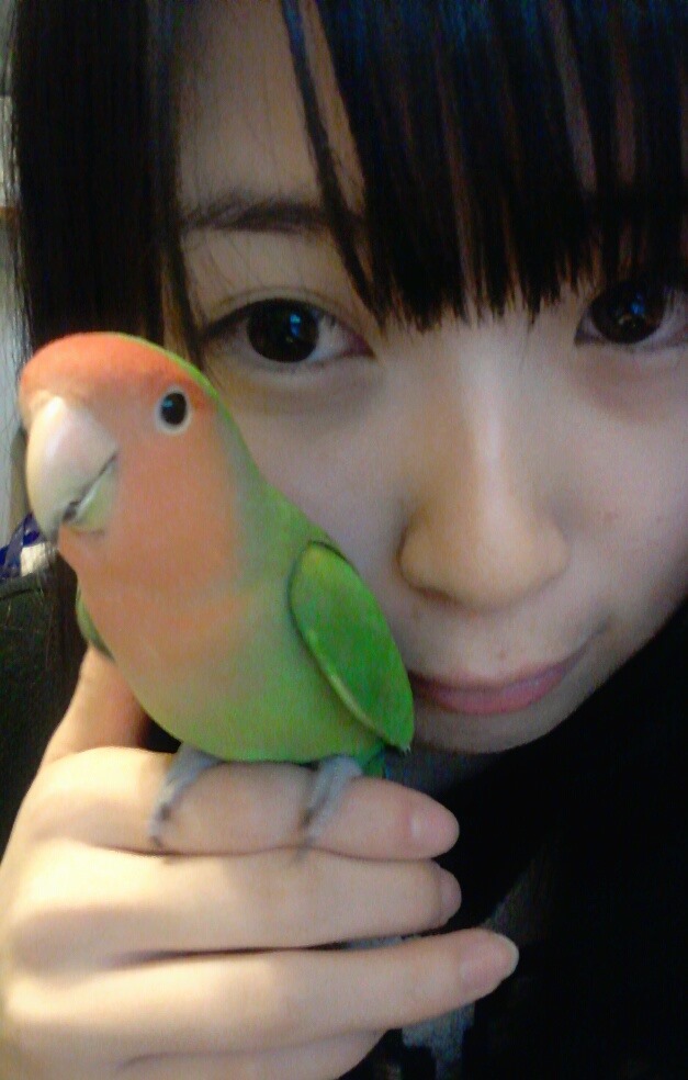 [6_4%255B2%255D.jpg]